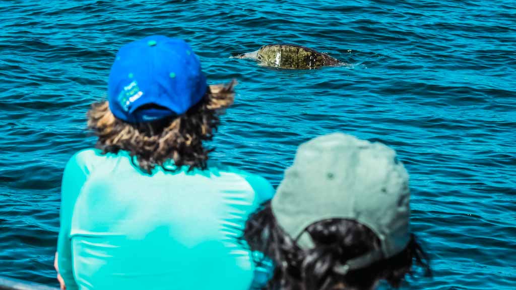 Ocean Discovery Adventure