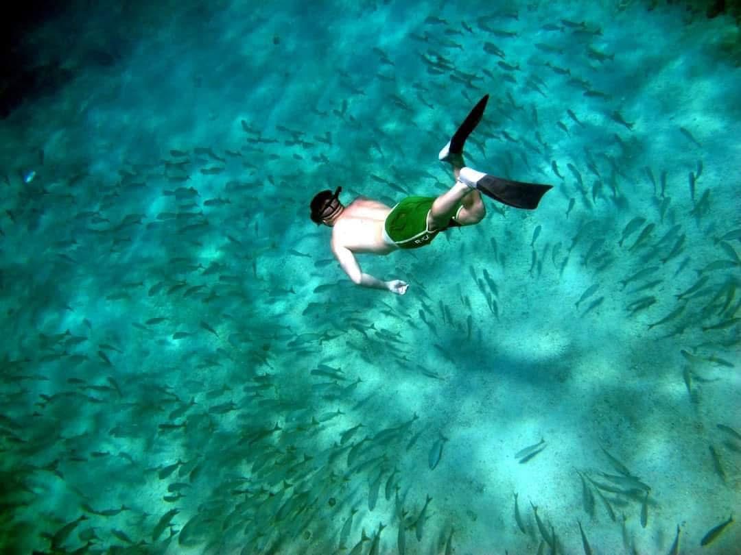Snorkeling tours are great for families